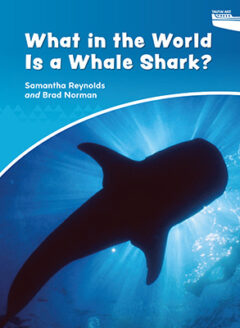 What in the World is a Whale Shark